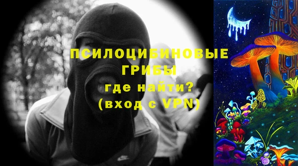 крисы Ачинск
