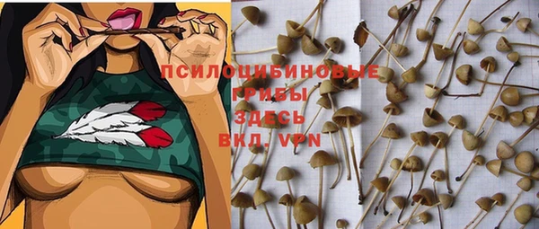 крисы Ачинск