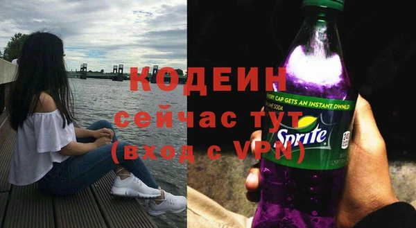 дживик Богородицк