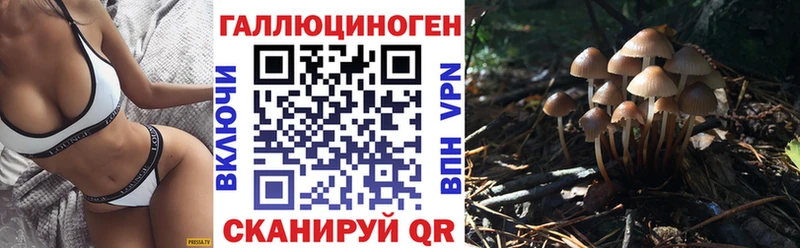 наркошоп  Бавлы  Псилоцибиновые грибы Magic Shrooms 
